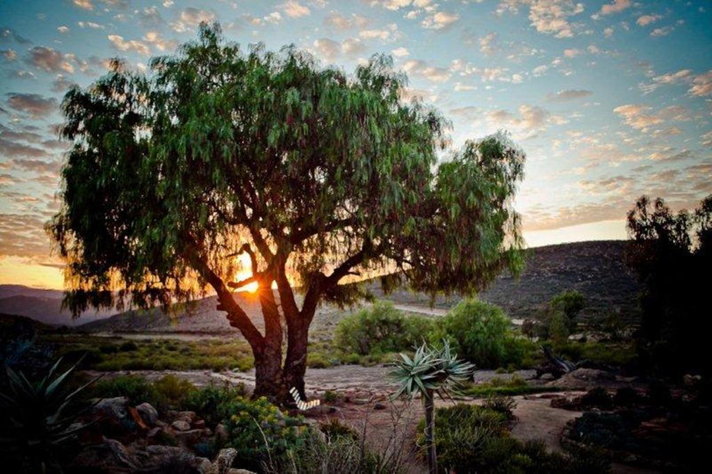 Naries Namakwa Retreat Villa Goop Dış mekan fotoğraf